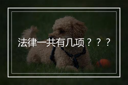 法律一共有几项？？？