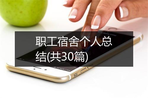 职工宿舍个人总结(共30篇)