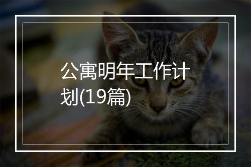 公寓明年工作计划(19篇)