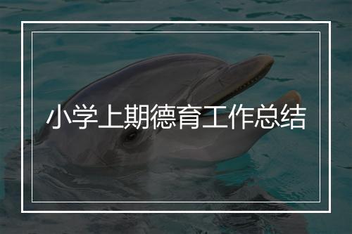 小学上期德育工作总结