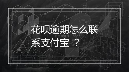 花呗逾期怎么联系支付宝 ？