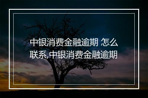 中银消费金融逾期 怎么联系,中银消费金融逾期