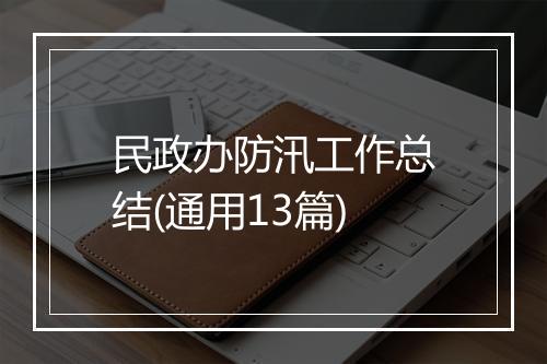 民政办防汛工作总结(通用13篇)