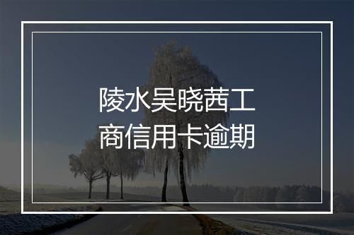 陵水吴晓茜工商信用卡逾期