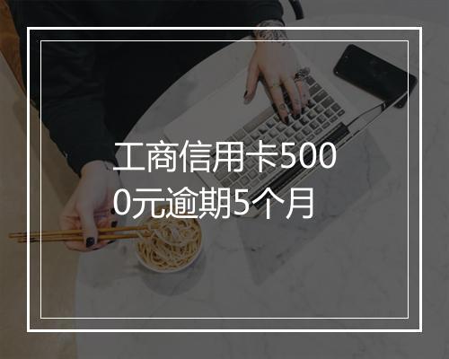 工商信用卡5000元逾期5个月
