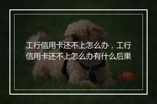 工行信用卡还不上怎么办，工行信用卡还不上怎么办有什么后果