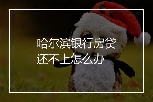 哈尔滨银行房贷还不上怎么办