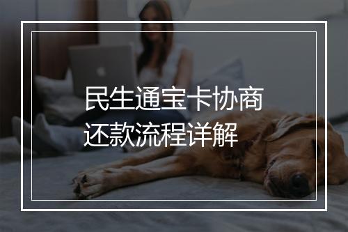民生通宝卡协商还款流程详解