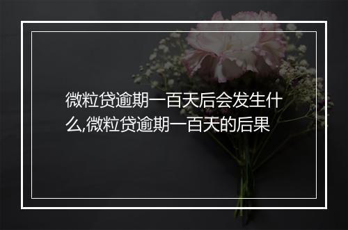 微粒贷逾期一百天后会发生什么,微粒贷逾期一百天的后果