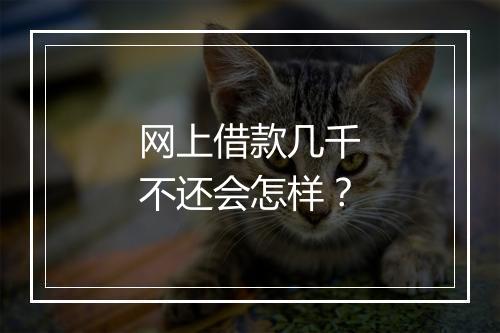 网上借款几千不还会怎样？