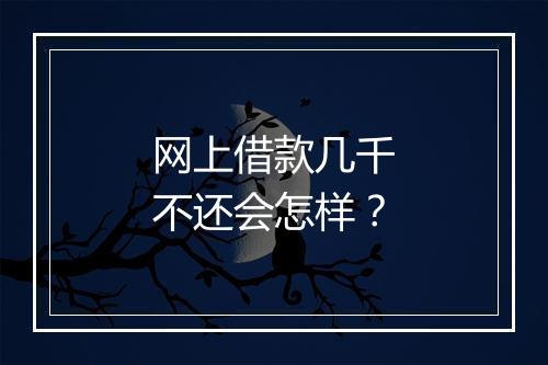 网上借款几千不还会怎样？
