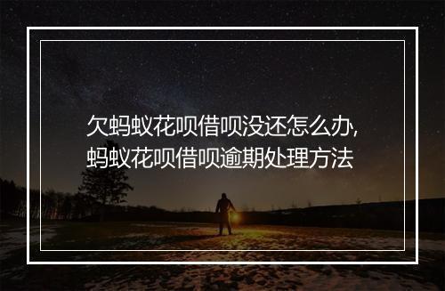 欠蚂蚁花呗借呗没还怎么办,蚂蚁花呗借呗逾期处理方法