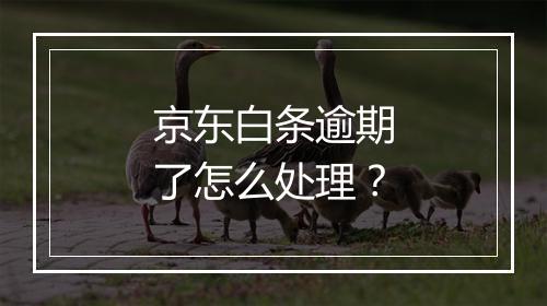 京东白条逾期了怎么处理？