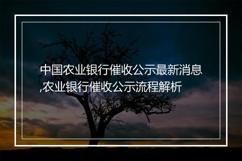 中国农业银行催收公示最新消息,农业银行催收公示流程解析