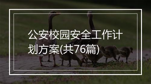公安校园安全工作计划方案(共76篇)