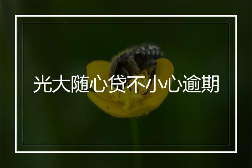 光大随心贷不小心逾期