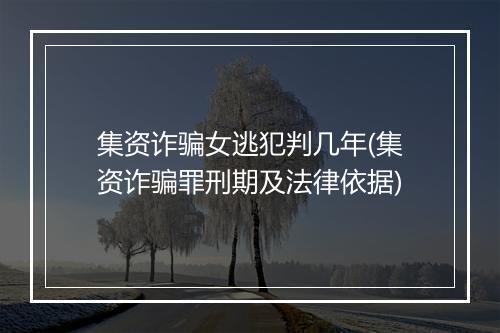 集资诈骗女逃犯判几年(集资诈骗罪刑期及法律依据)