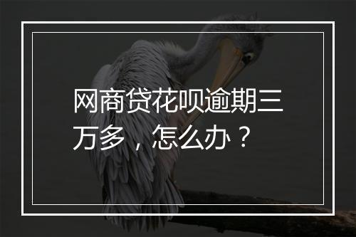 网商贷花呗逾期三万多，怎么办？