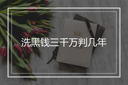 洗黑钱三千万判几年