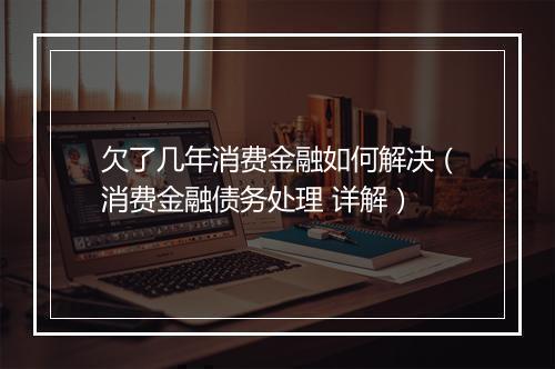 欠了几年消费金融如何解决（消费金融债务处理 详解）