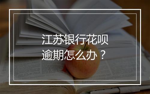 江苏银行花呗逾期怎么办？