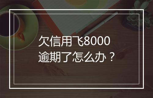 欠信用飞8000逾期了怎么办？