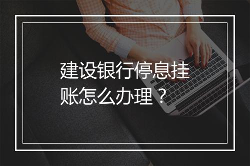 建设银行停息挂账怎么办理？