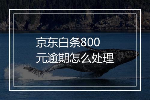 京东白条800元逾期怎么处理