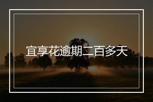 宜享花逾期二百多天