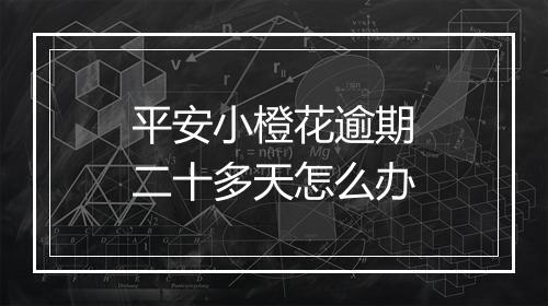 平安小橙花逾期二十多天怎么办