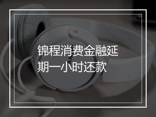锦程消费金融延期一小时还款