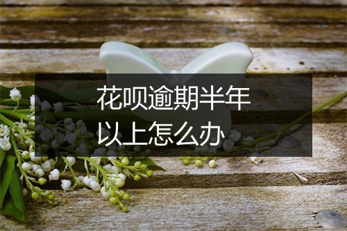 花呗逾期半年以上怎么办