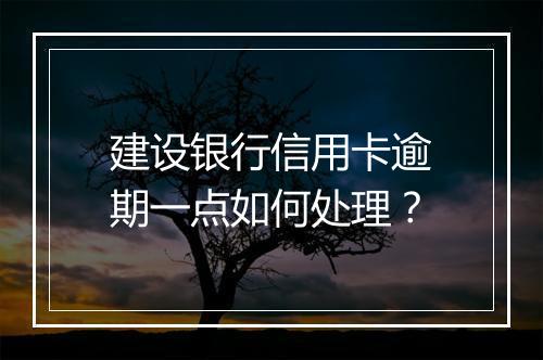 建设银行信用卡逾期一点如何处理？