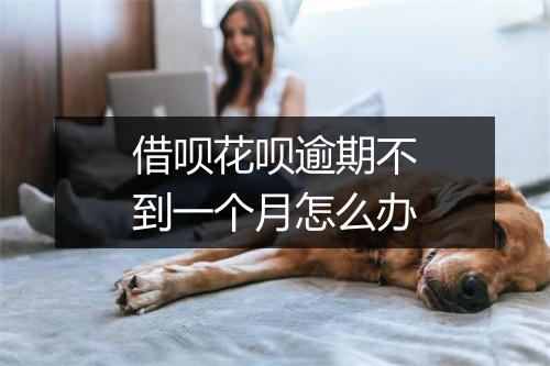 借呗花呗逾期不到一个月怎么办