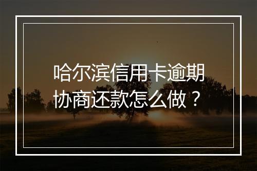 哈尔滨信用卡逾期协商还款怎么做？