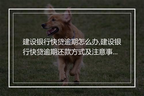 建设银行快贷逾期怎么办,建设银行快贷逾期还款方式及注意事项