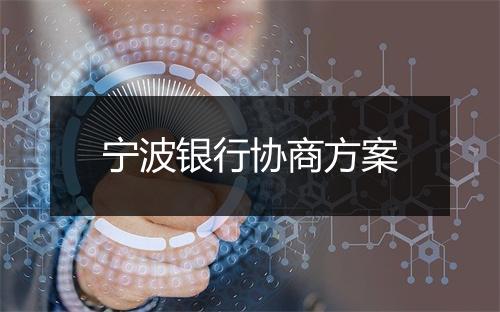 宁波银行协商方案
