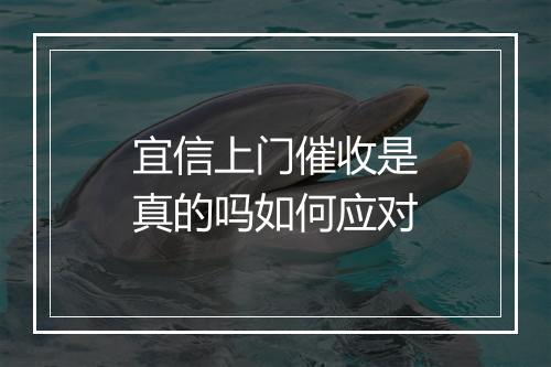 宜信上门催收是真的吗如何应对