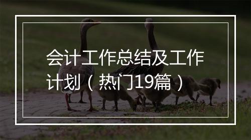 会计工作总结及工作计划（热门19篇）