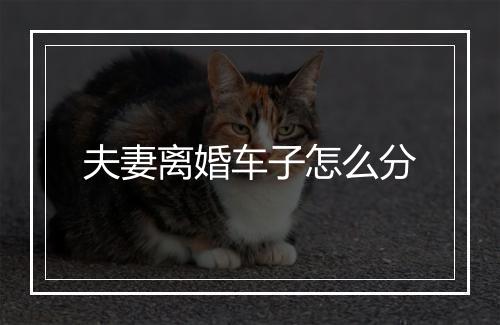 夫妻离婚车子怎么分