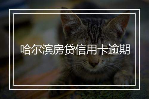 哈尔滨房贷信用卡逾期