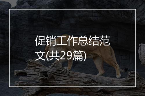 促销工作总结范文(共29篇)