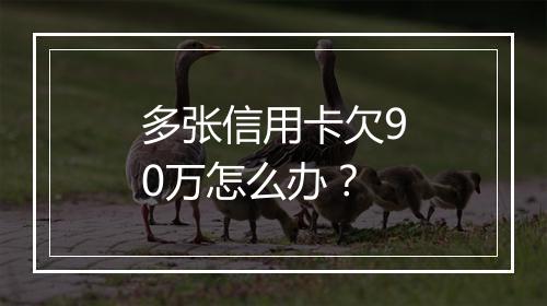 多张信用卡欠90万怎么办？