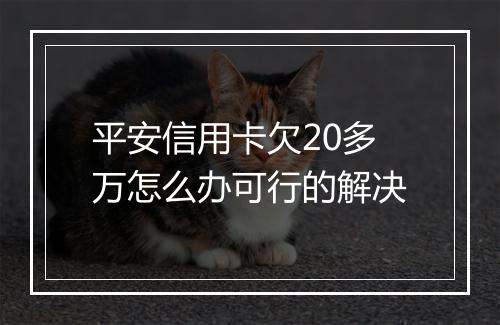 平安信用卡欠20多万怎么办可行的解决