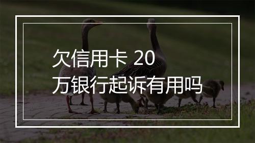 欠信用卡 20 万银行起诉有用吗