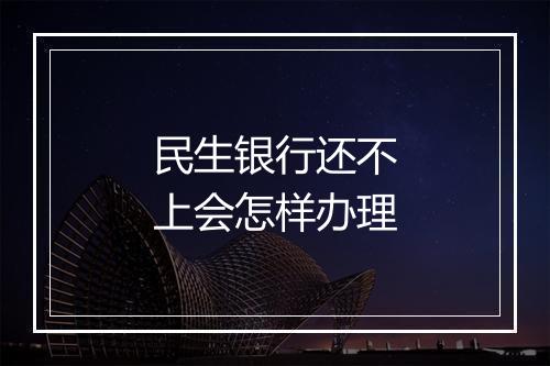 民生银行还不上会怎样办理