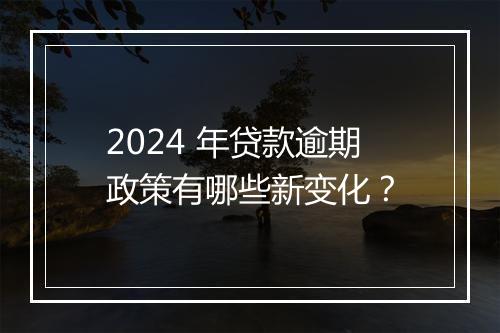 2024 年贷款逾期政策有哪些新变化？