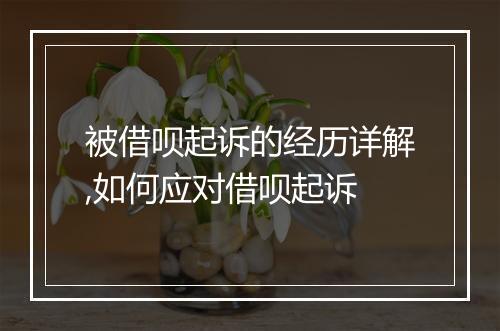 被借呗起诉的经历详解,如何应对借呗起诉