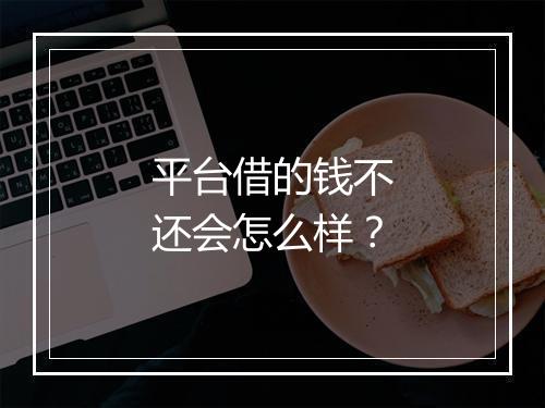 平台借的钱不还会怎么样？