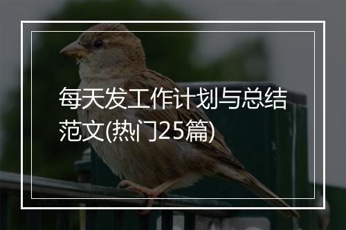 每天发工作计划与总结范文(热门25篇)